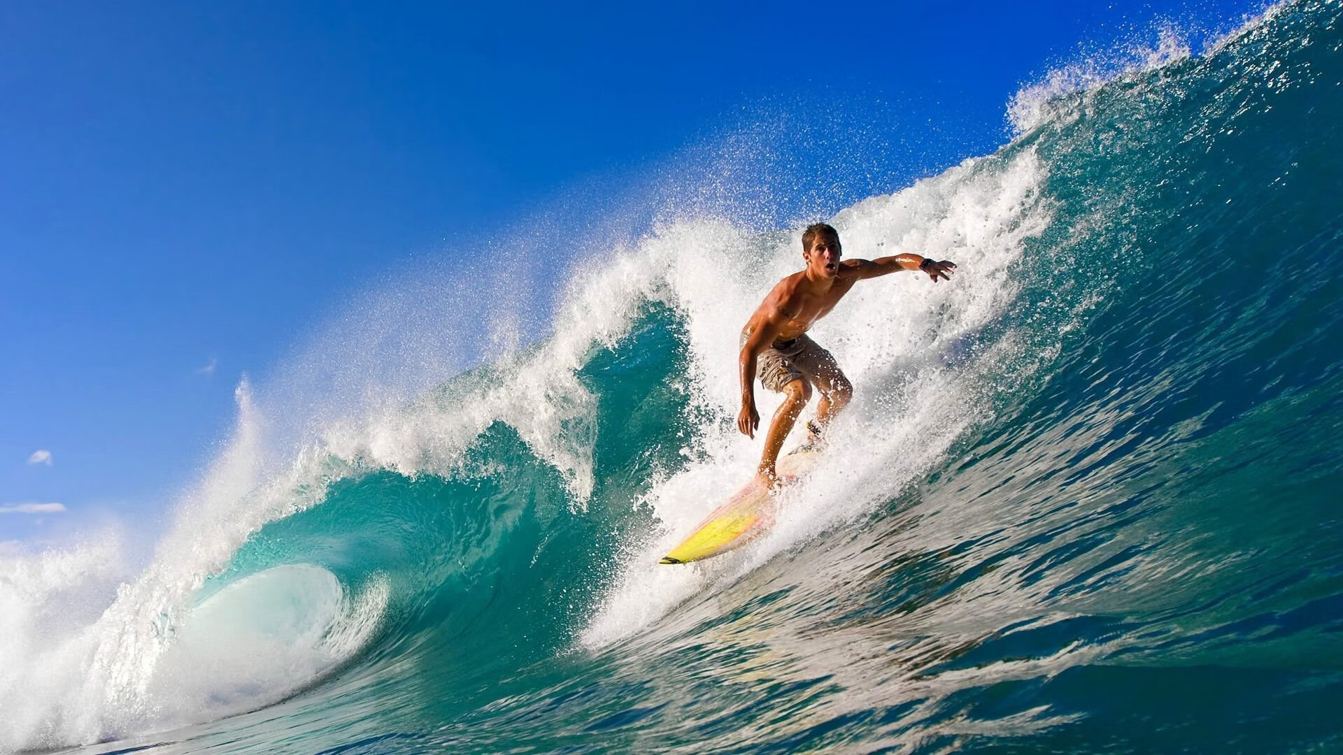 公牛球队拍摄公益宣传片关注城市环保，公牛队官方网站