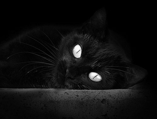 九游电竞中心-【Juan Soto成长之路】从青涩少年到联盟头牌打者，从青涩少年到如今